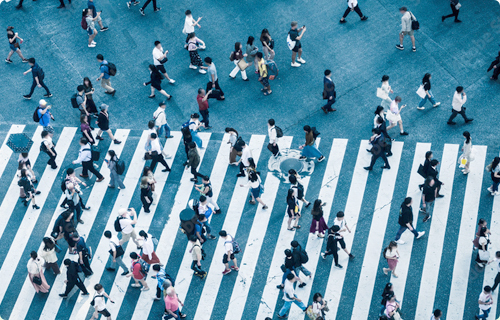 Panel Providing Service
