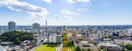 官公庁・自治体向け調査サービス