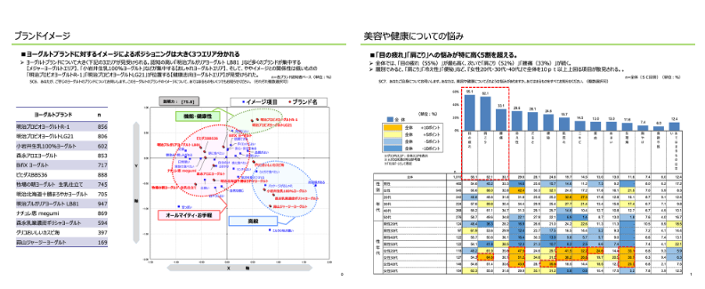 図　アウトプットイメージ：調査報告書