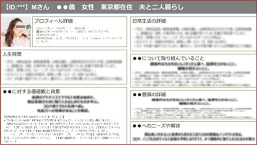 図　デプスインタビューのアウトプット（個票）